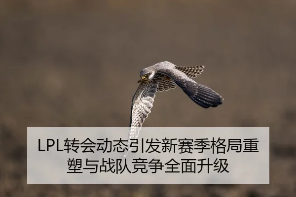 LPL转会动态引发新赛季格局重塑与战队竞争全面升级