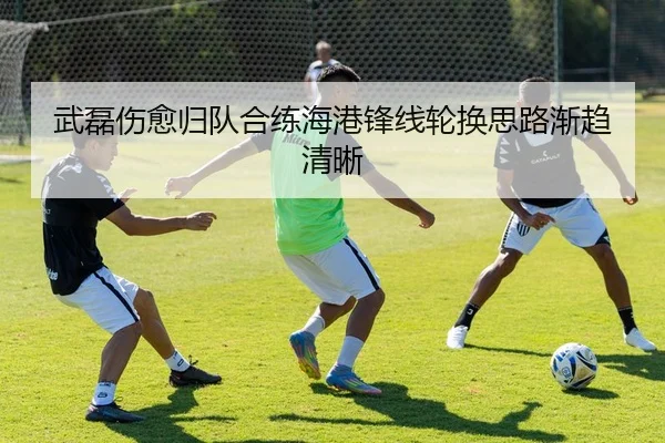 武磊伤愈归队合练海港锋线轮换思路渐趋清晰