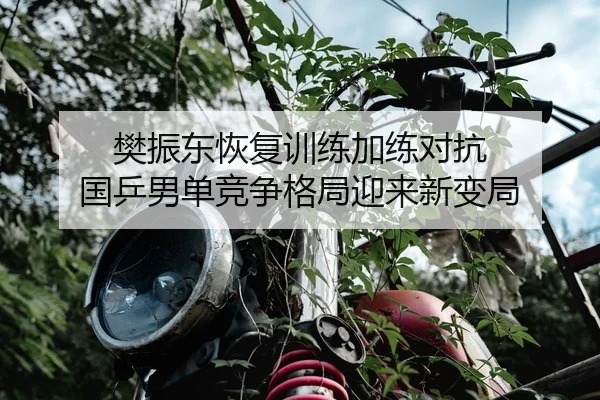 樊振东恢复训练加练对抗 国乒男单竞争格局迎来新变局